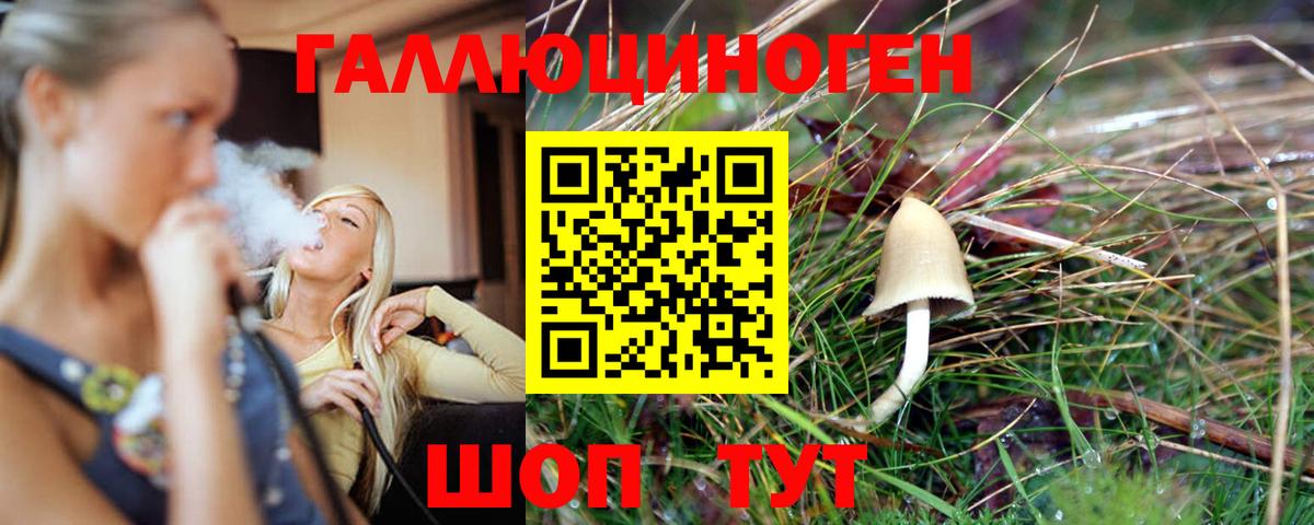 Галлюциногенные грибы прущие грибы  Галлюциногенные грибы Cubensis  Вход с VPN  Мыски 
